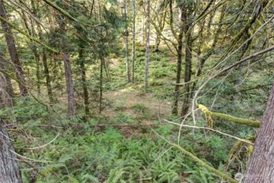 37 XXX SE 212th Way , Sammamish, WA 98075 - Photo 19