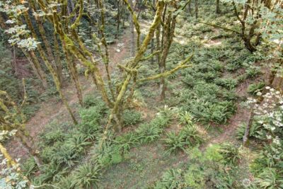 37 XXX SE 212th Way , Sammamish, WA 98075 - Photo 2