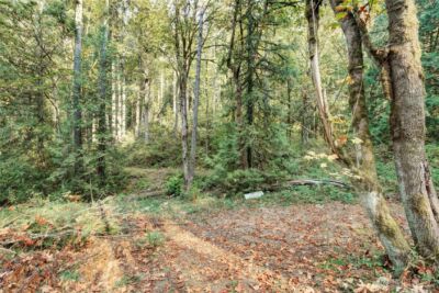 37 XXX SE 212th Way , Sammamish, WA 98075 - Photo 21