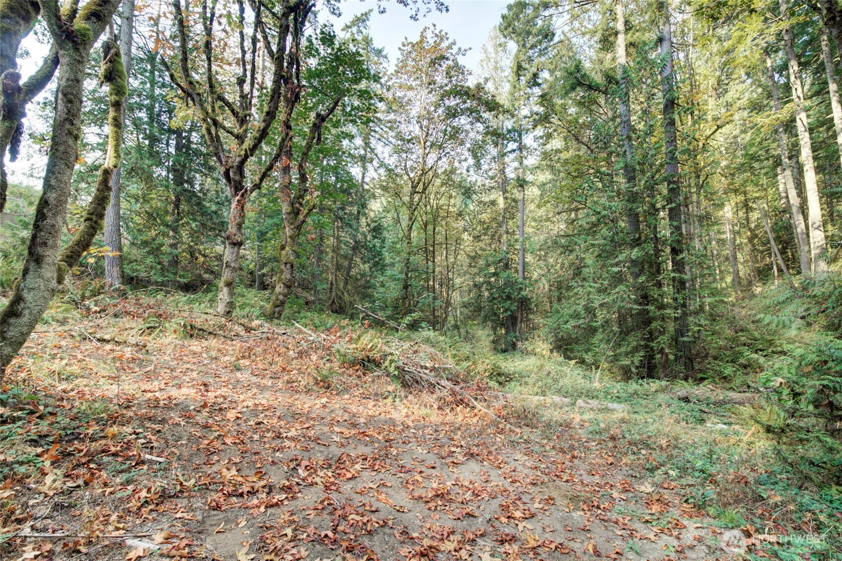 37 XXX SE 212th Way , Sammamish, WA 98075