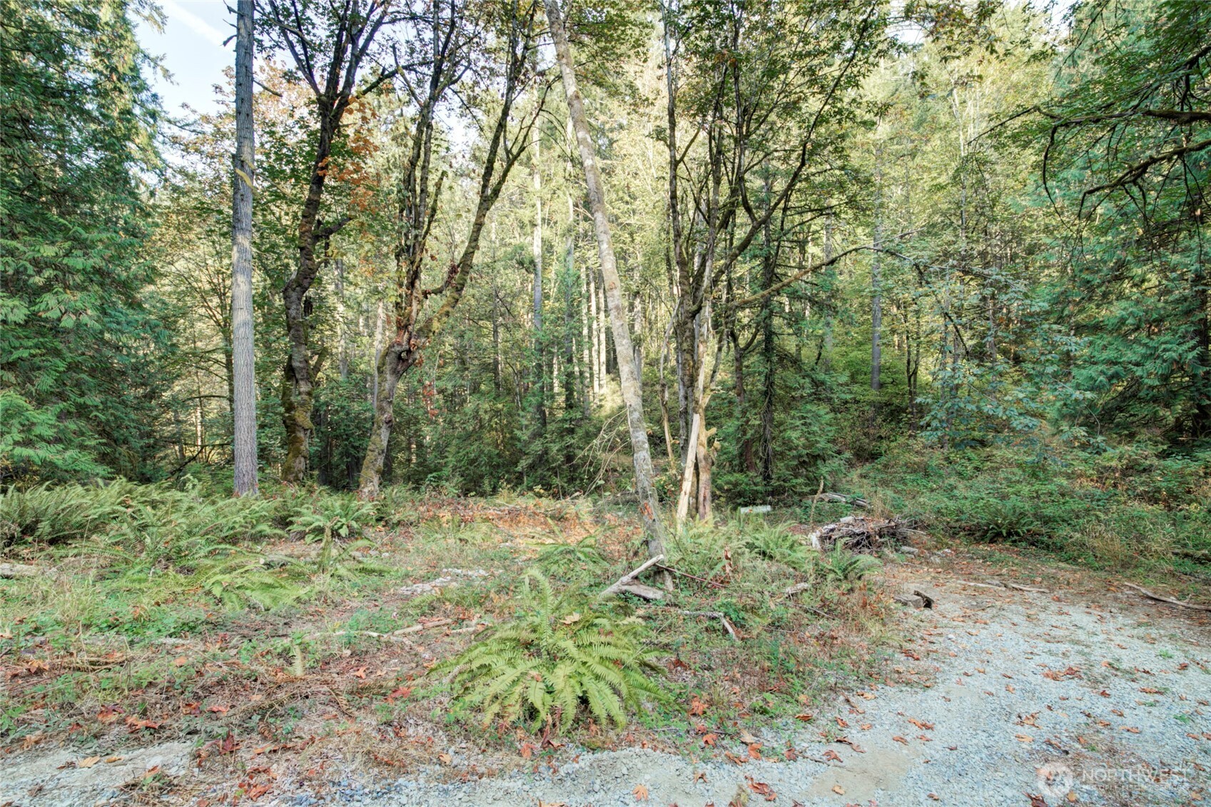 37 XXX SE 212th Way , Sammamish, WA 98075