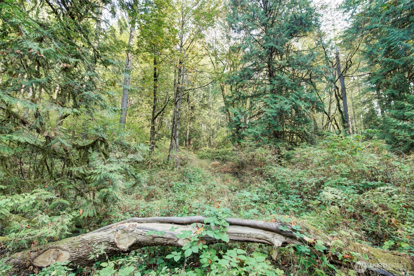 37 XXX SE 212th Way , Sammamish, WA 98075