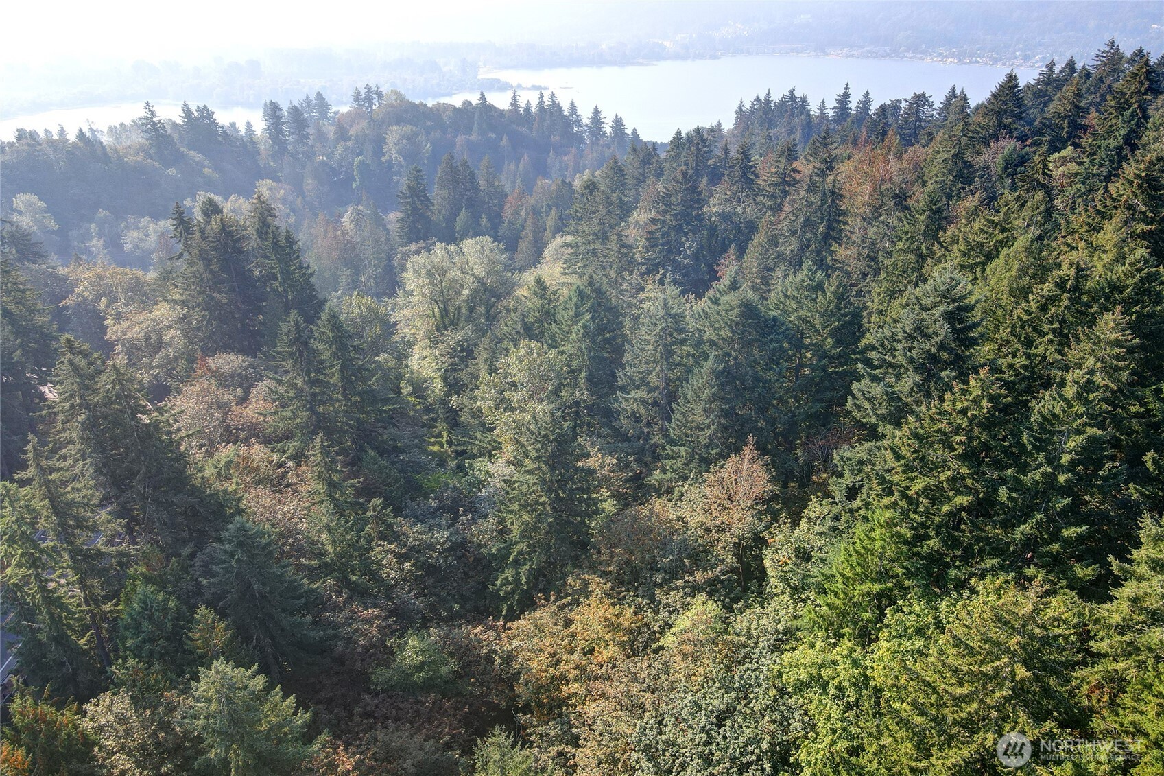 37 XXX SE 212th Way , Sammamish, WA 98075