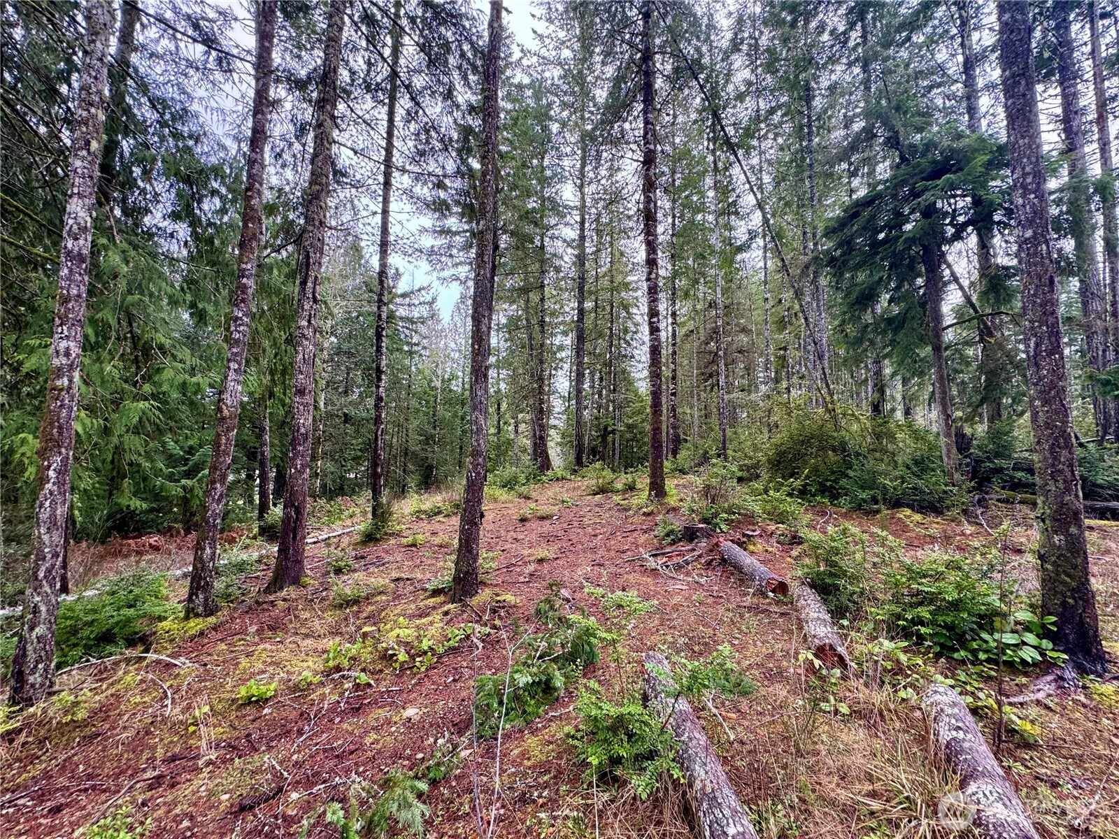 18349 NW Stavis Bay Road , Seabeck, WA 98380