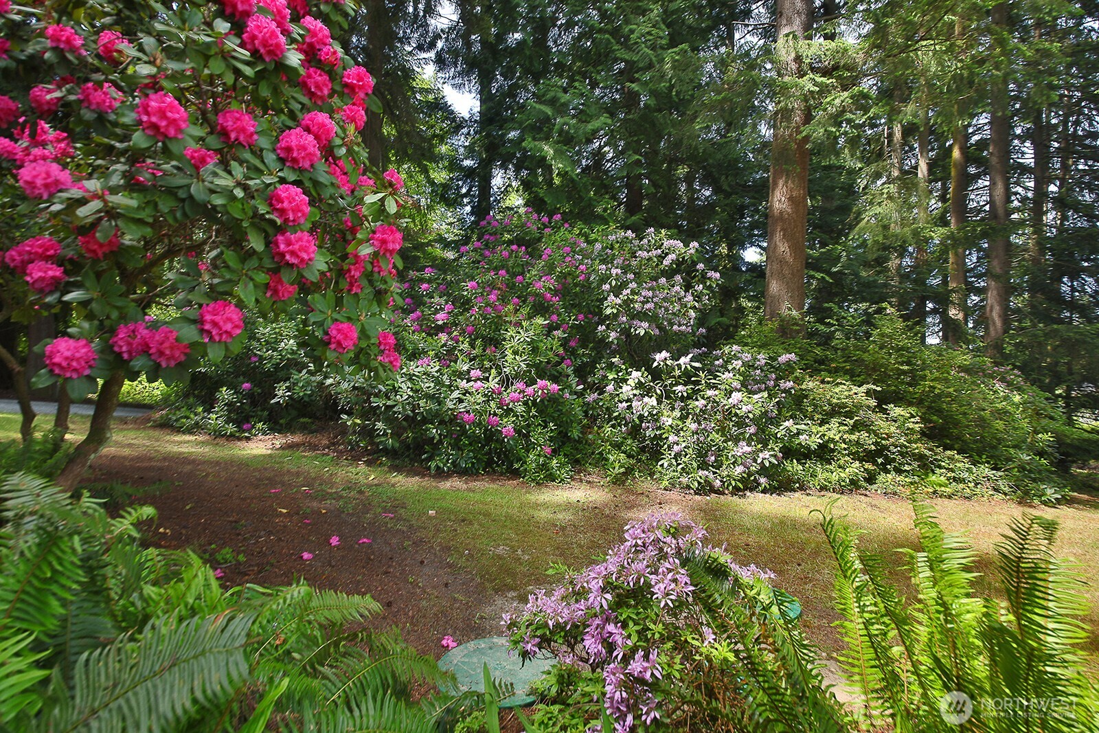 808 Woodsong Lane , Langley, WA 98260