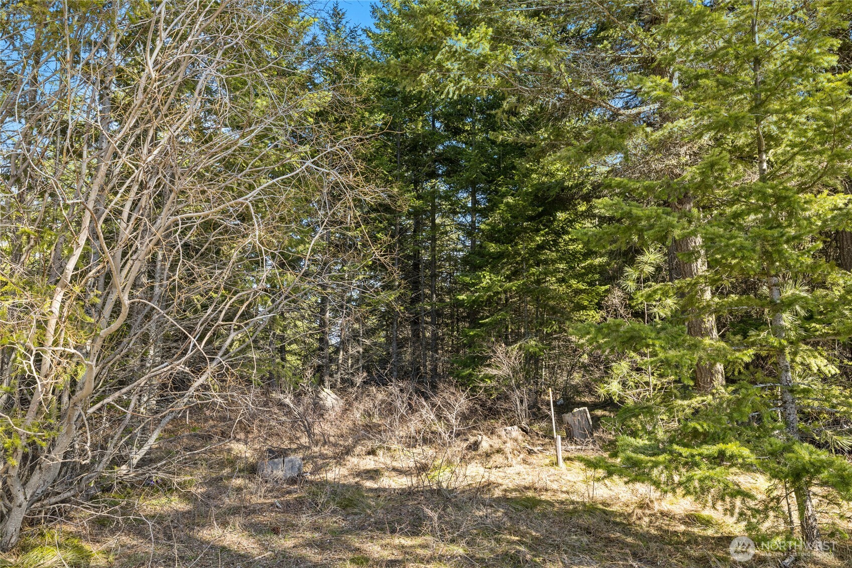 78 Forest Ridge (Lot 78) Drive , Cle Elum, WA 98922