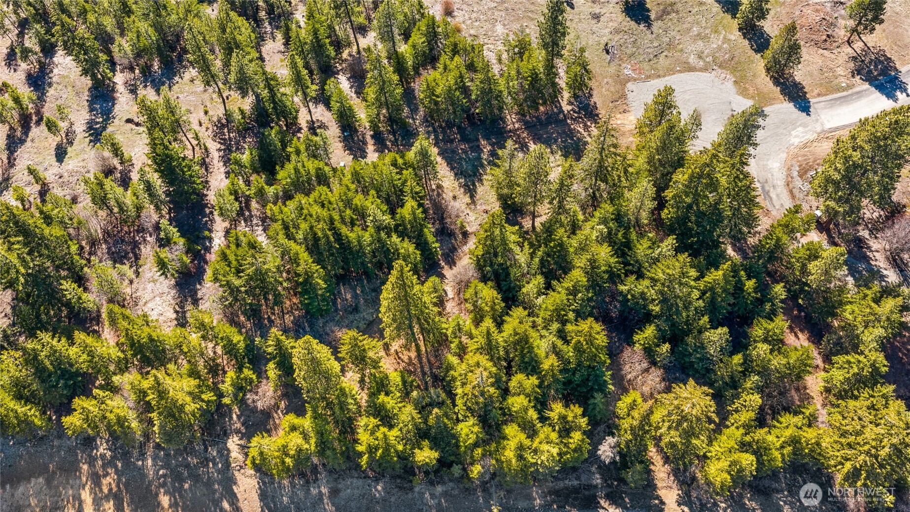 78 Forest Ridge (Lot 78) Drive , Cle Elum, WA 98922