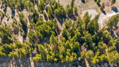 78 Forest Ridge (Lot 78) Drive , Cle Elum, WA 98922 - Photo 14