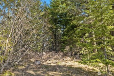 78 Forest Ridge (Lot 78) Drive , Cle Elum, WA 98922 - Photo 2