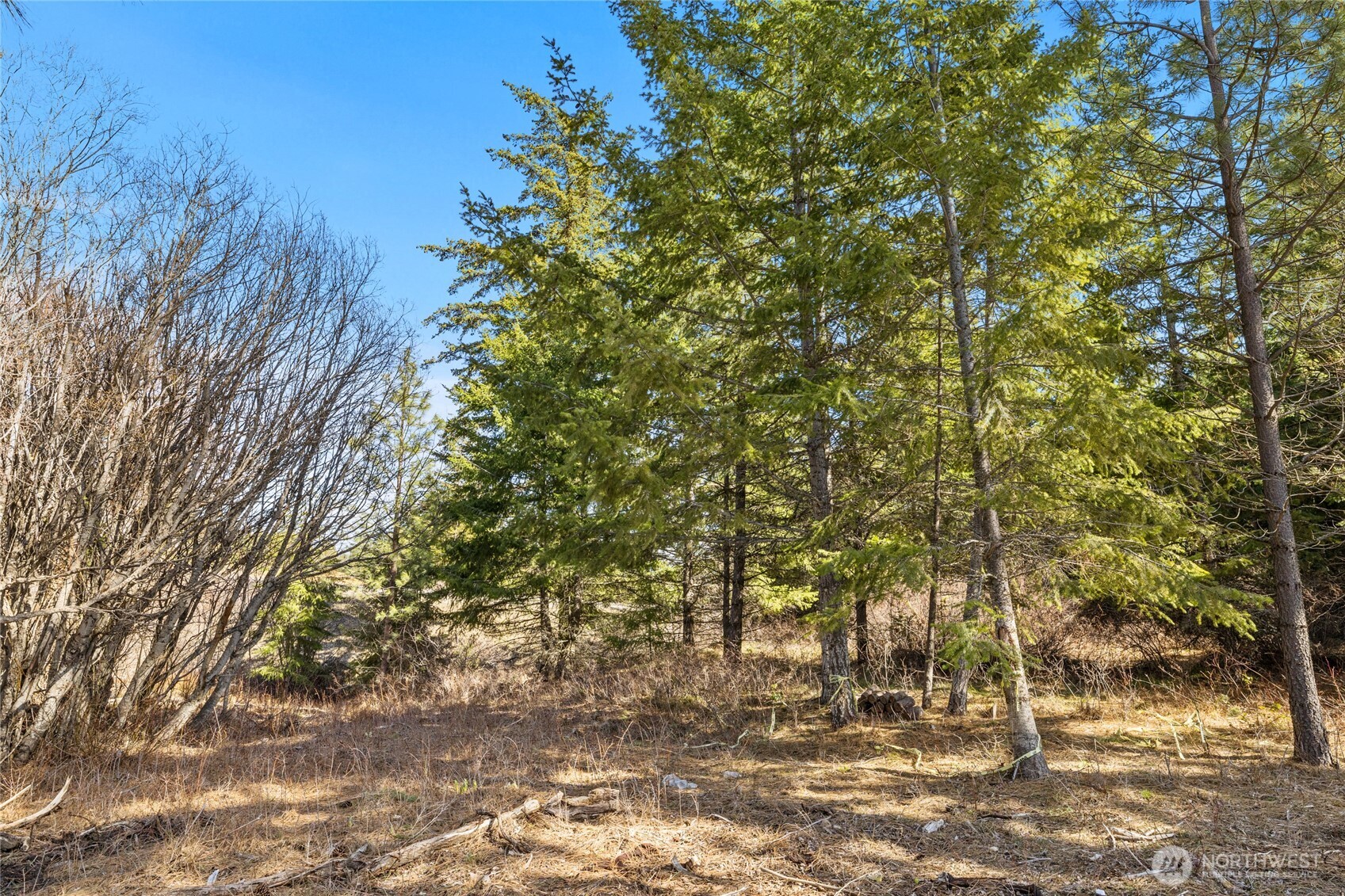 78 Forest Ridge (Lot 78) Drive , Cle Elum, WA 98922