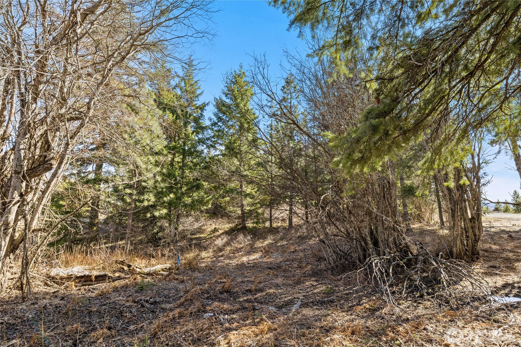 78 Forest Ridge (Lot 78) Drive , Cle Elum, WA 98922