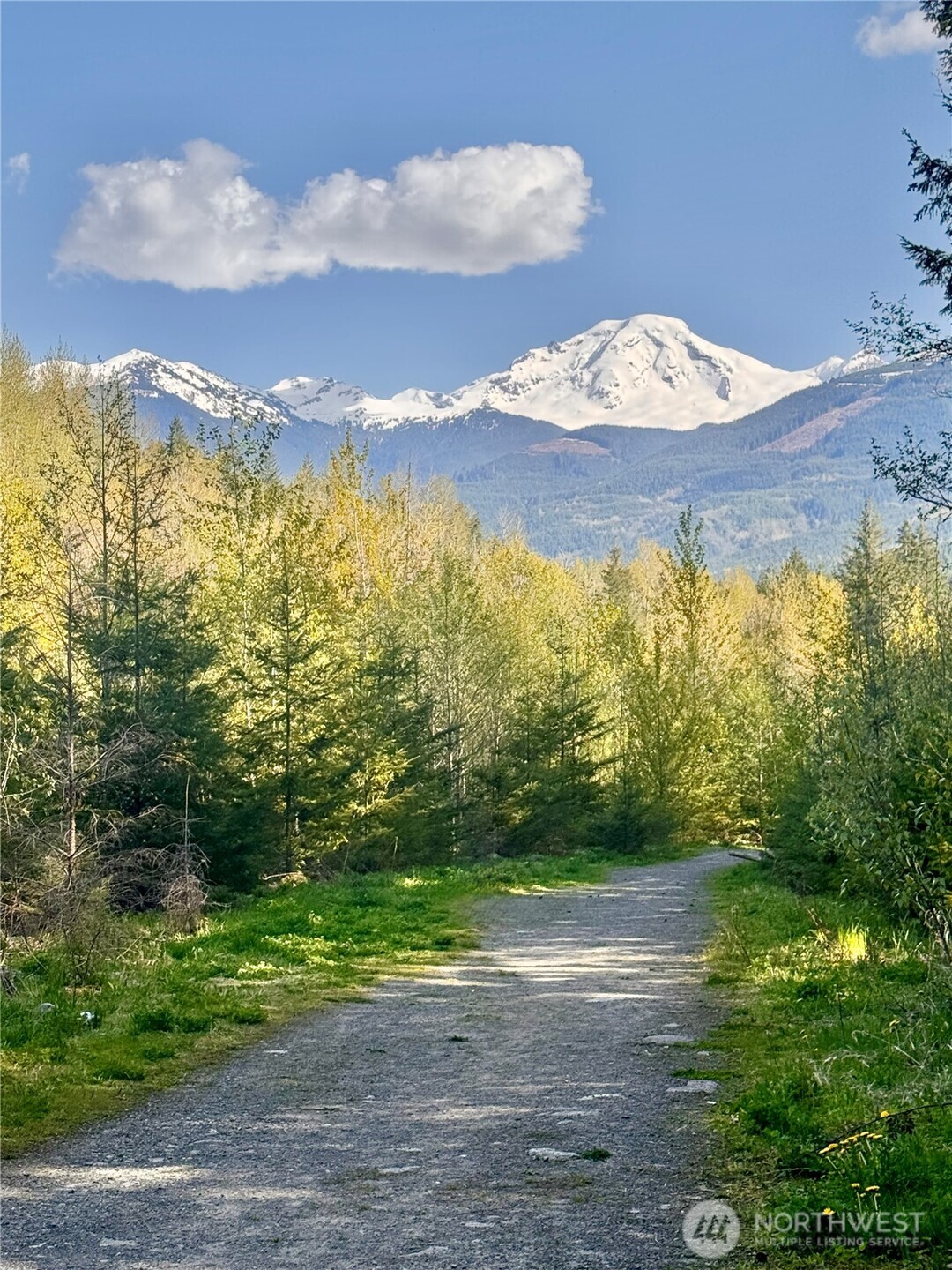 7473 Glacier Springs Drive , Deming, WA 98244