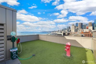 590 1st Avenue S #1005, Seattle, WA 98104 - Photo 34
