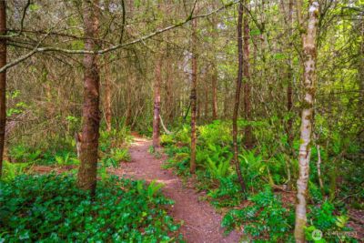 5202 383rd Street E, Eatonville, WA 98328 - Photo 25