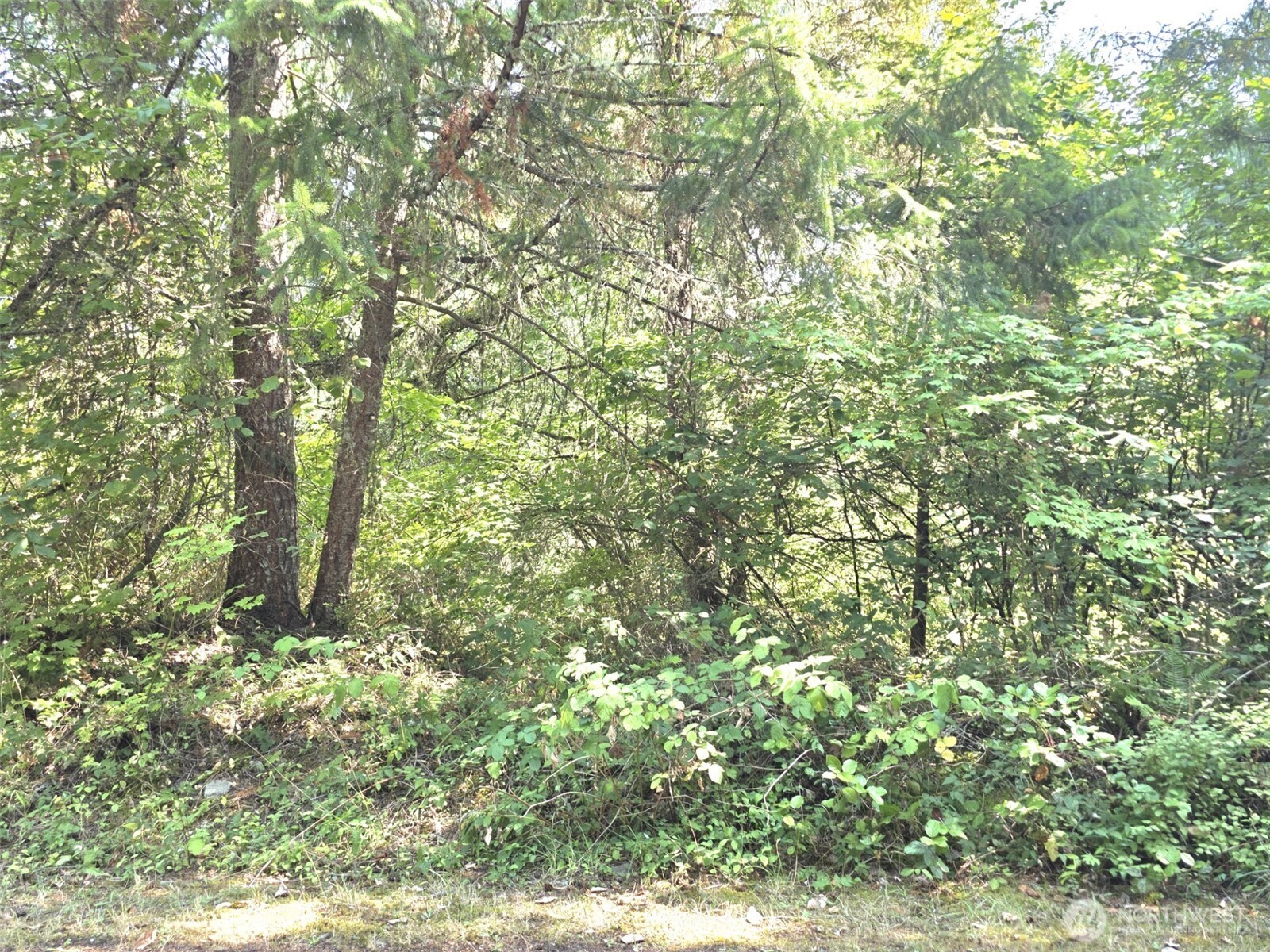 21815 Beachside Drive SE, Yelm, WA 98597