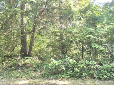 21815 Beachside Drive SE, Yelm, WA 98597 - Photo 1