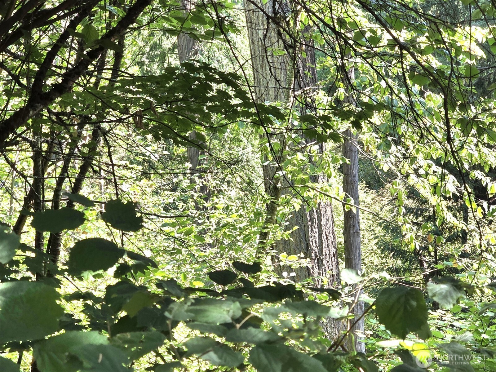 21815 Beachside Drive SE, Yelm, WA 98597