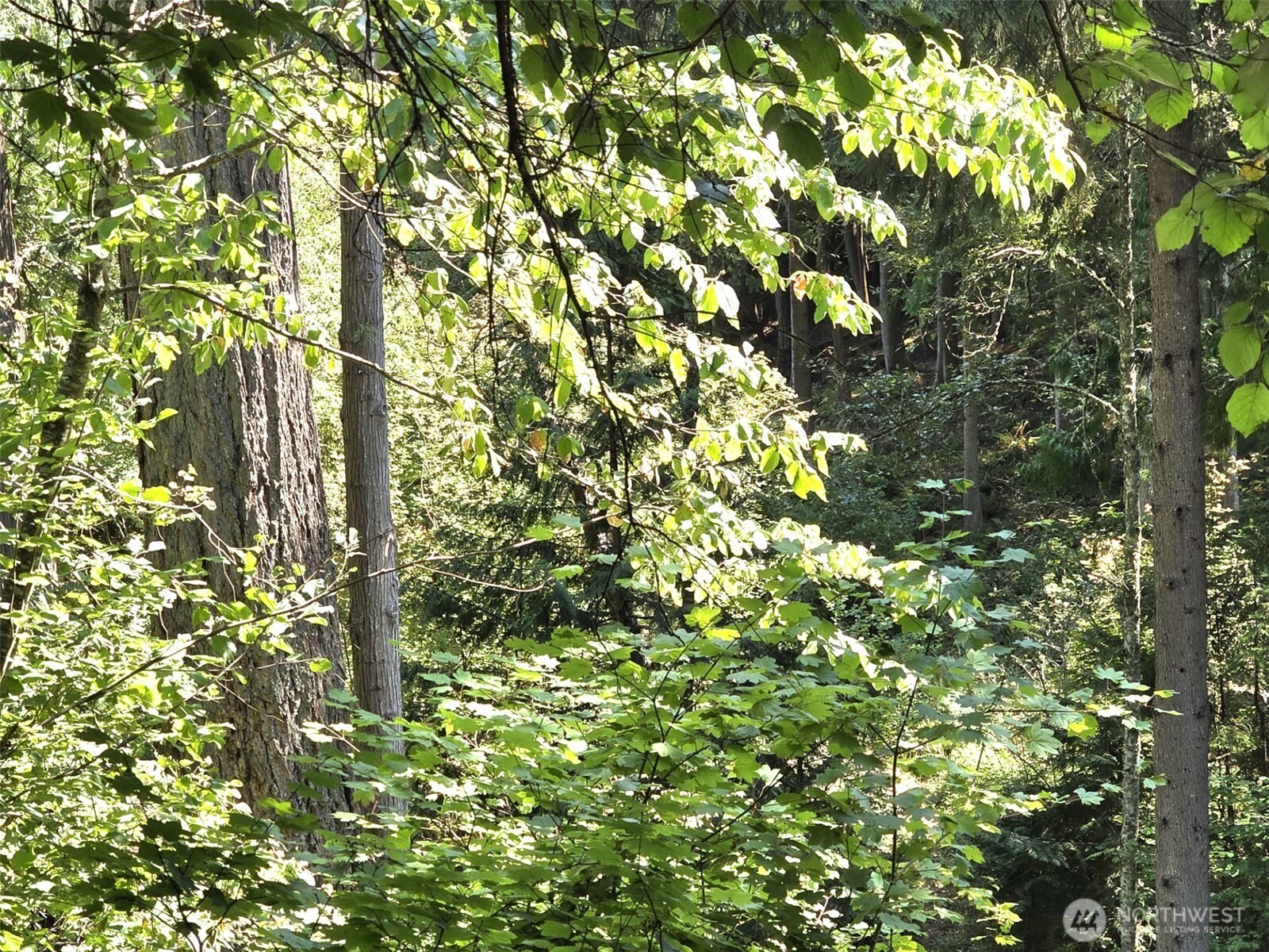 21815 Beachside Drive SE, Yelm, WA 98597