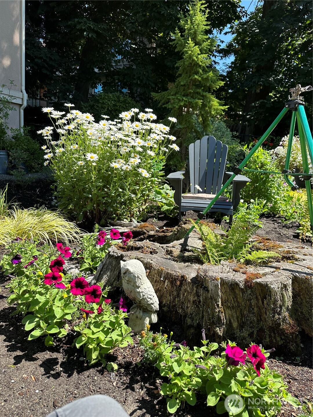 816 Walnut Street , Edmonds, WA 98020