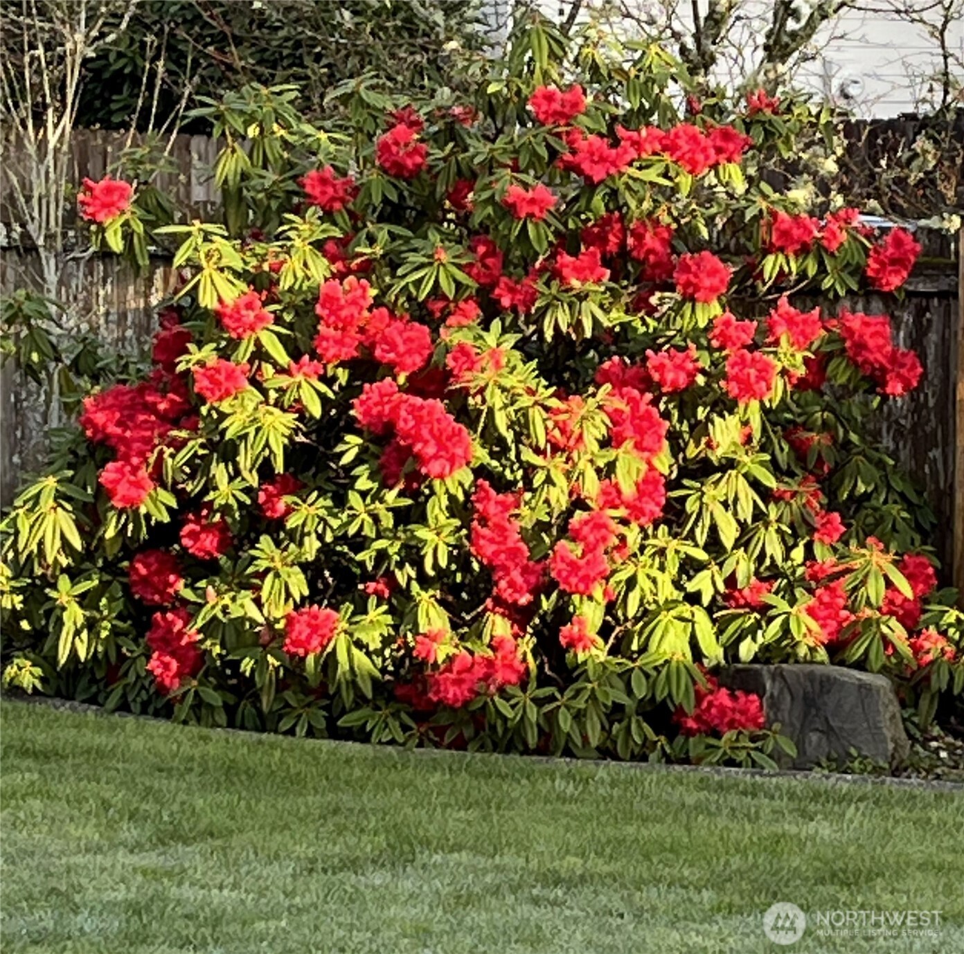 2245 McDonald Avenue , Dupont, WA 98327