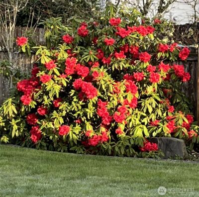 2245 McDonald Avenue , Dupont, WA 98327 - Photo 26