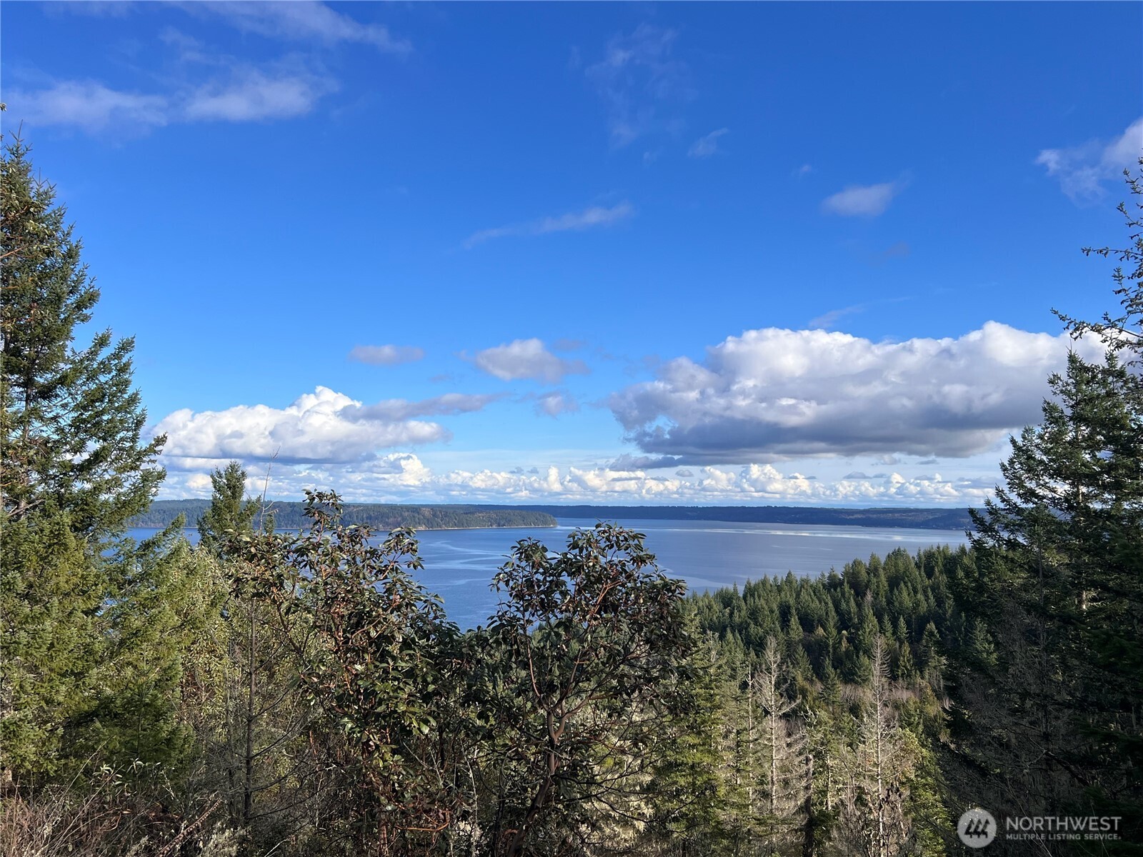 59 X Moose Mountain Road , Brinnon, WA 98320