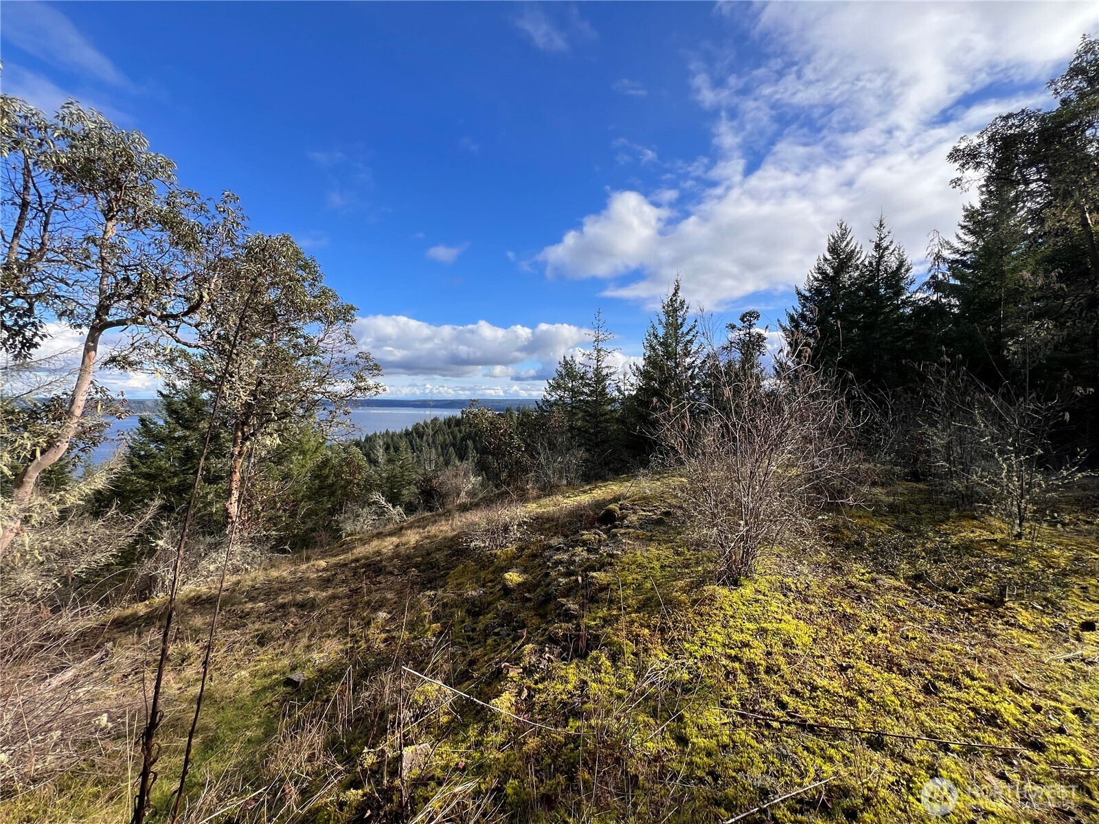 59 X Moose Mountain Road , Brinnon, WA 98320