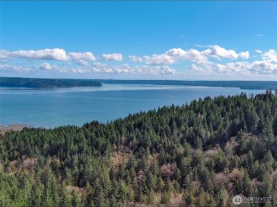 59 X Moose Mountain Road , Brinnon, WA 98320 - Photo 12