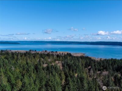 59 X Moose Mountain Road , Brinnon, WA 98320 - Photo 13