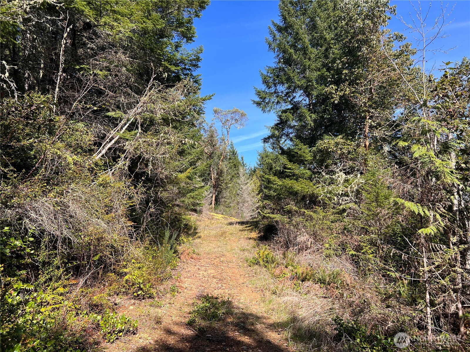 59 X Moose Mountain Road , Brinnon, WA 98320