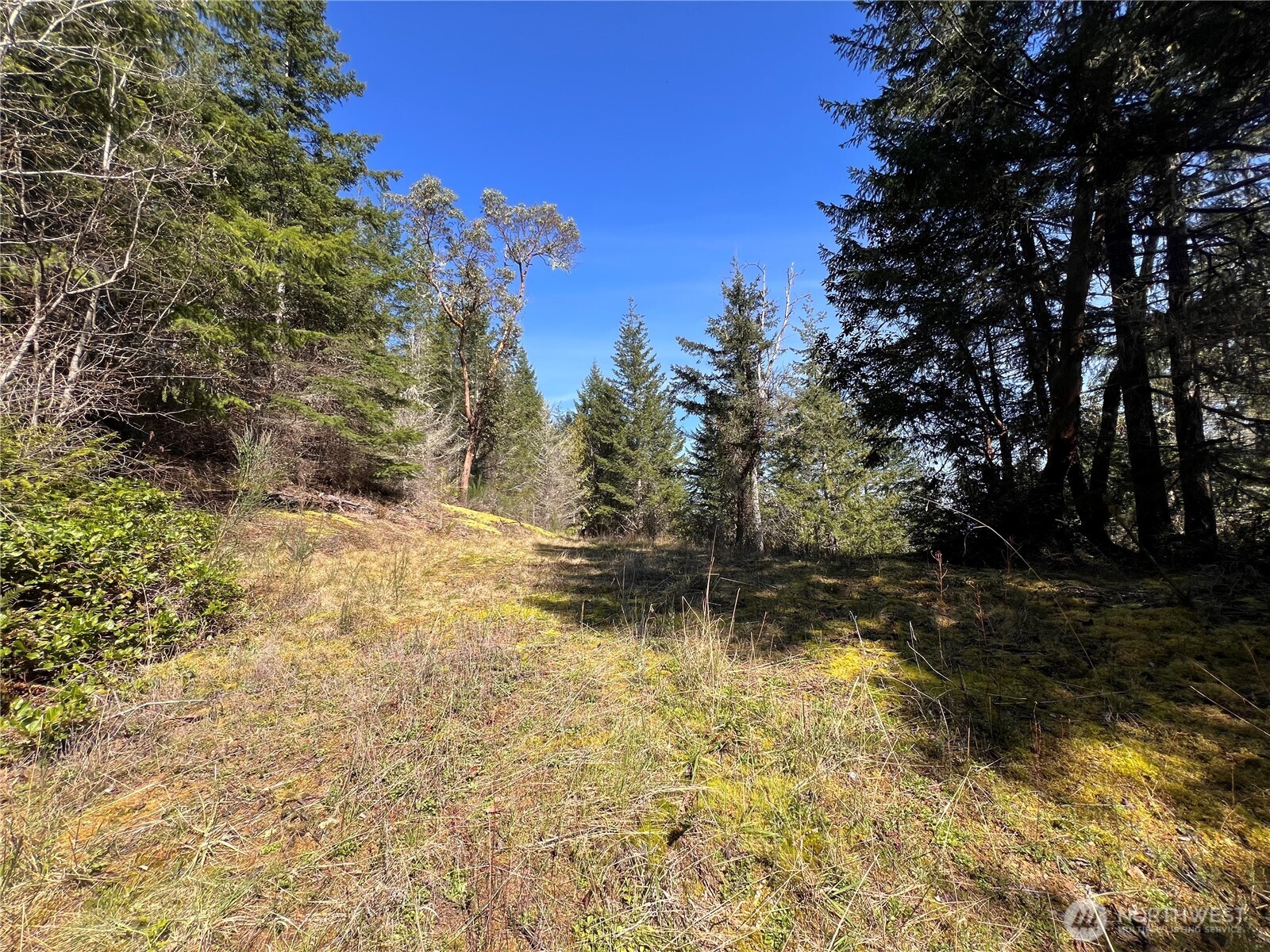 59 X Moose Mountain Road , Brinnon, WA 98320