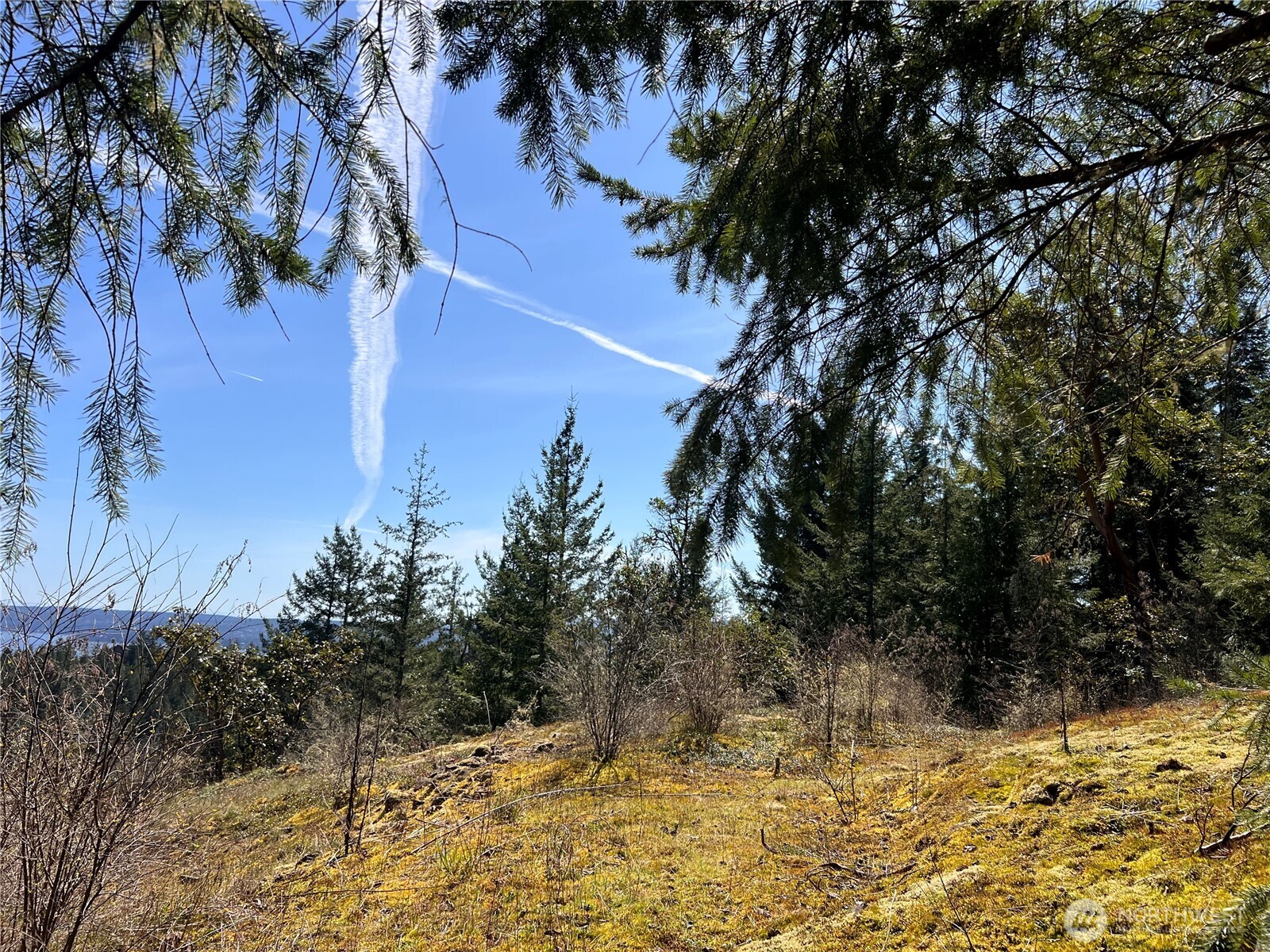 59 X Moose Mountain Road , Brinnon, WA 98320