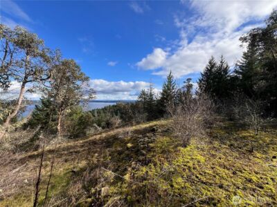 59 X Moose Mountain Road , Brinnon, WA 98320 - Photo 2