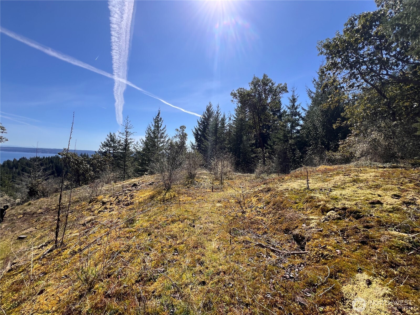 59 X Moose Mountain Road , Brinnon, WA 98320