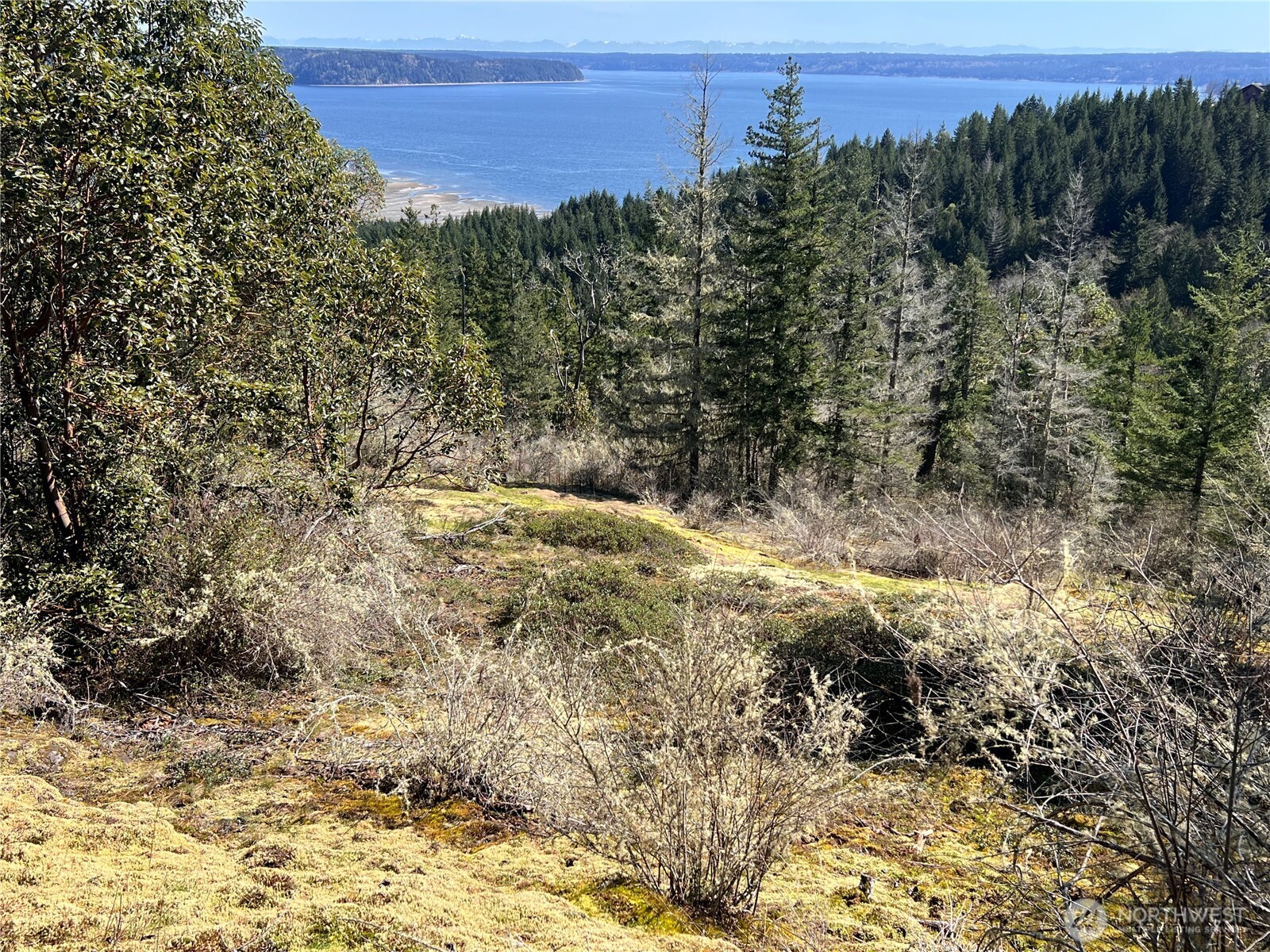 59 X Moose Mountain Road , Brinnon, WA 98320