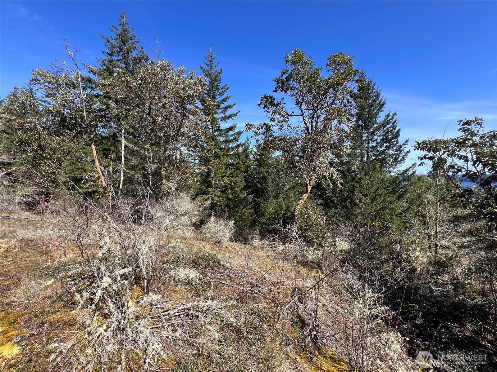 59 X Moose Mountain Road , Brinnon, WA 98320