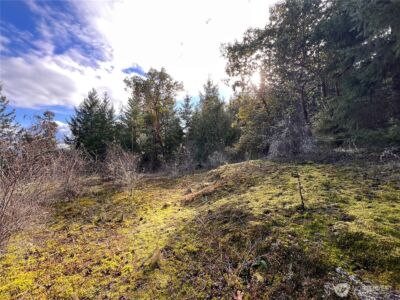 59 X Moose Mountain Road , Brinnon, WA 98320 - Photo 3