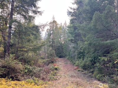 59 X Moose Mountain Road , Brinnon, WA 98320 - Photo 4