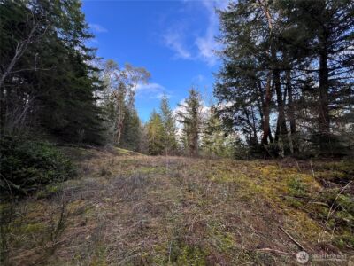 59 X Moose Mountain Road , Brinnon, WA 98320 - Photo 5