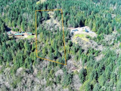 59 X Moose Mountain Road , Brinnon, WA 98320 - Photo 7