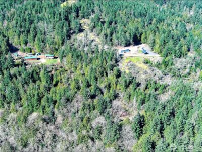 59 X Moose Mountain Road , Brinnon, WA 98320 - Photo 8