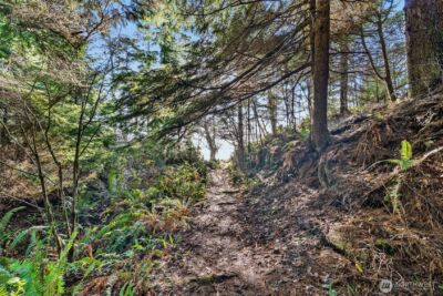 0 Lot 35 Bay Lane , South Bend, WA 98596 - Photo 12