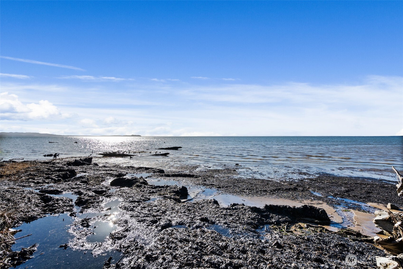 0 Lot 35 Bay Lane , South Bend, WA 98596