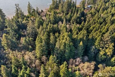 0 Lot 35 Bay Lane , South Bend, WA 98596 - Photo 4