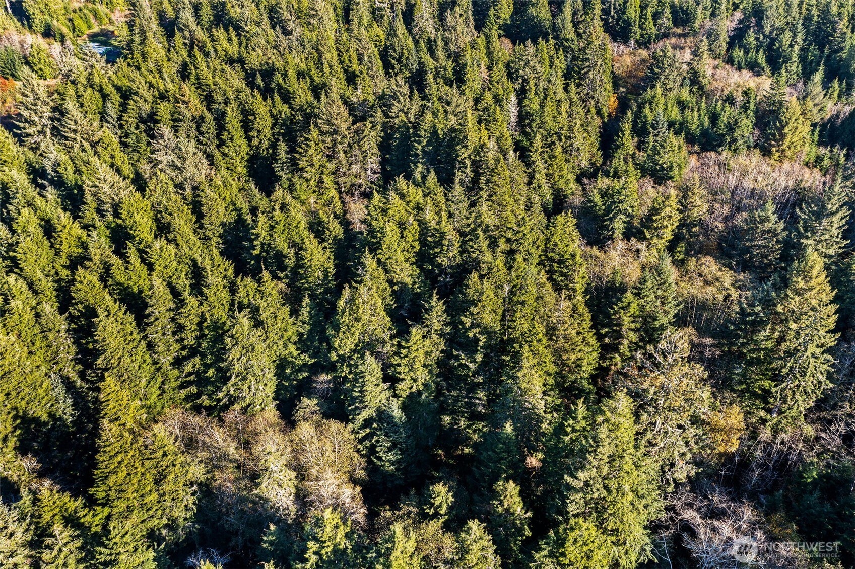 0 Lot 35 Bay Lane , South Bend, WA 98596