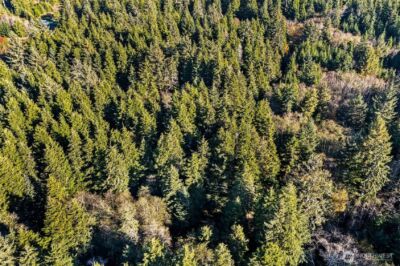 0 Lot 35 Bay Lane , South Bend, WA 98596 - Photo 5