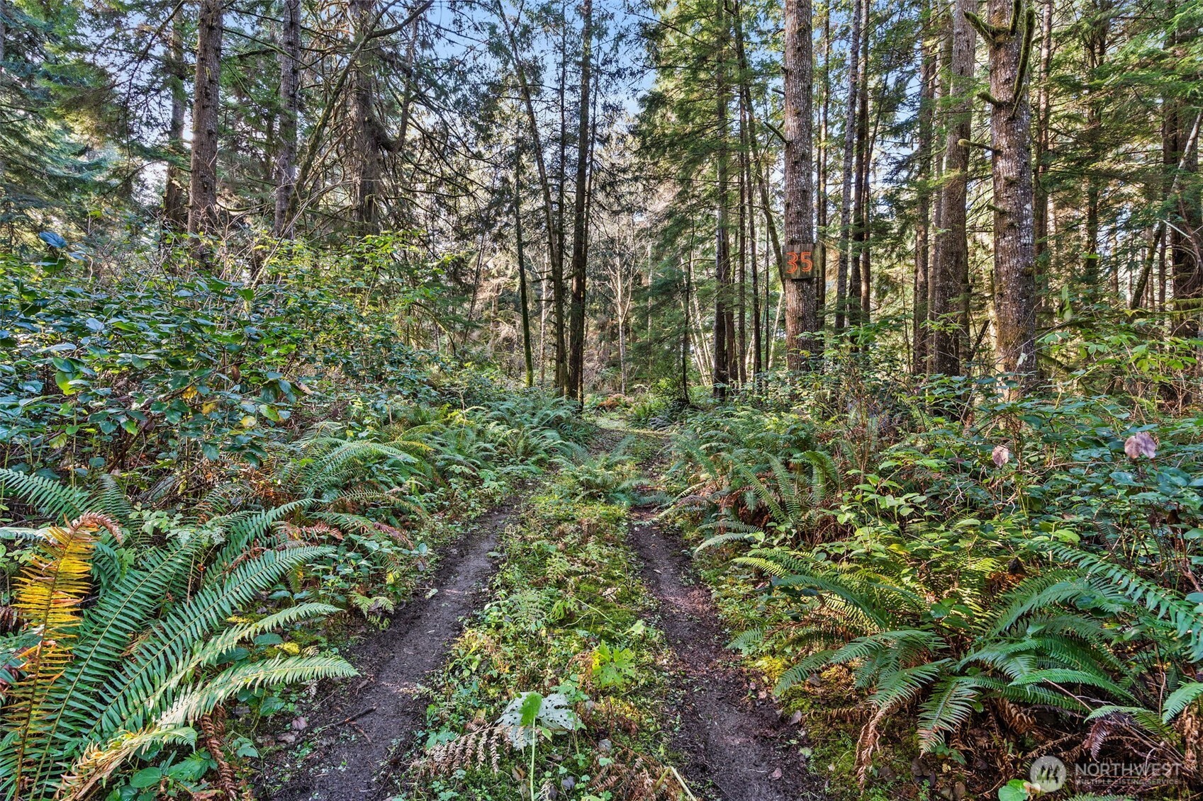 0 Lot 35 Bay Lane , South Bend, WA 98596