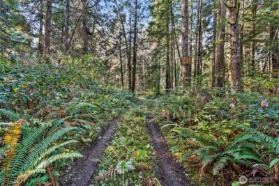 0 Lot 35 Bay Lane , South Bend, WA 98596 - Photo 6