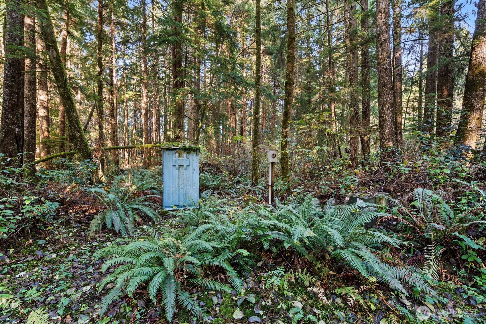 0 Lot 35 Bay Lane , South Bend, WA 98596