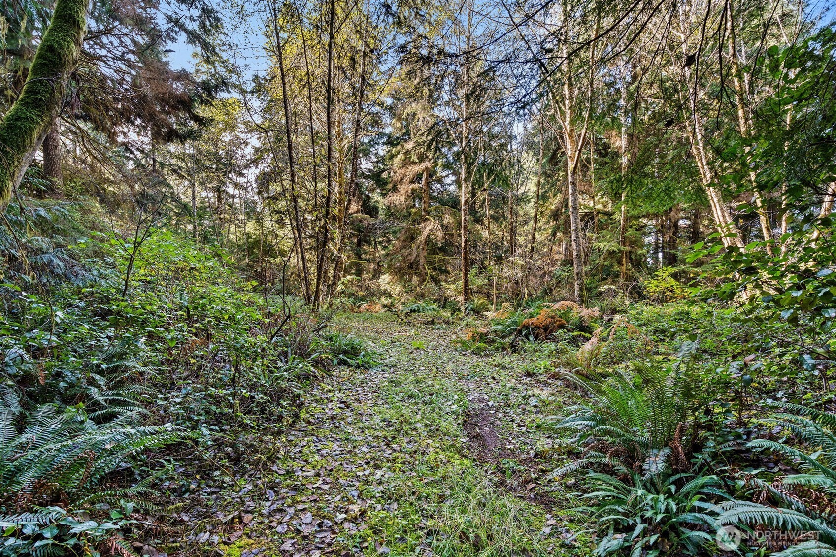 0 Lot 35 Bay Lane , South Bend, WA 98596